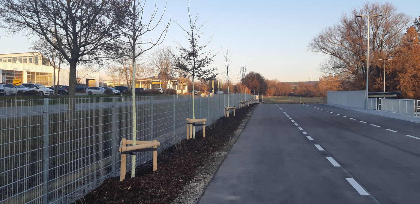 Wertstoffhof Pfaffenhofen: neue Zufahrt mit Baumpflanzung