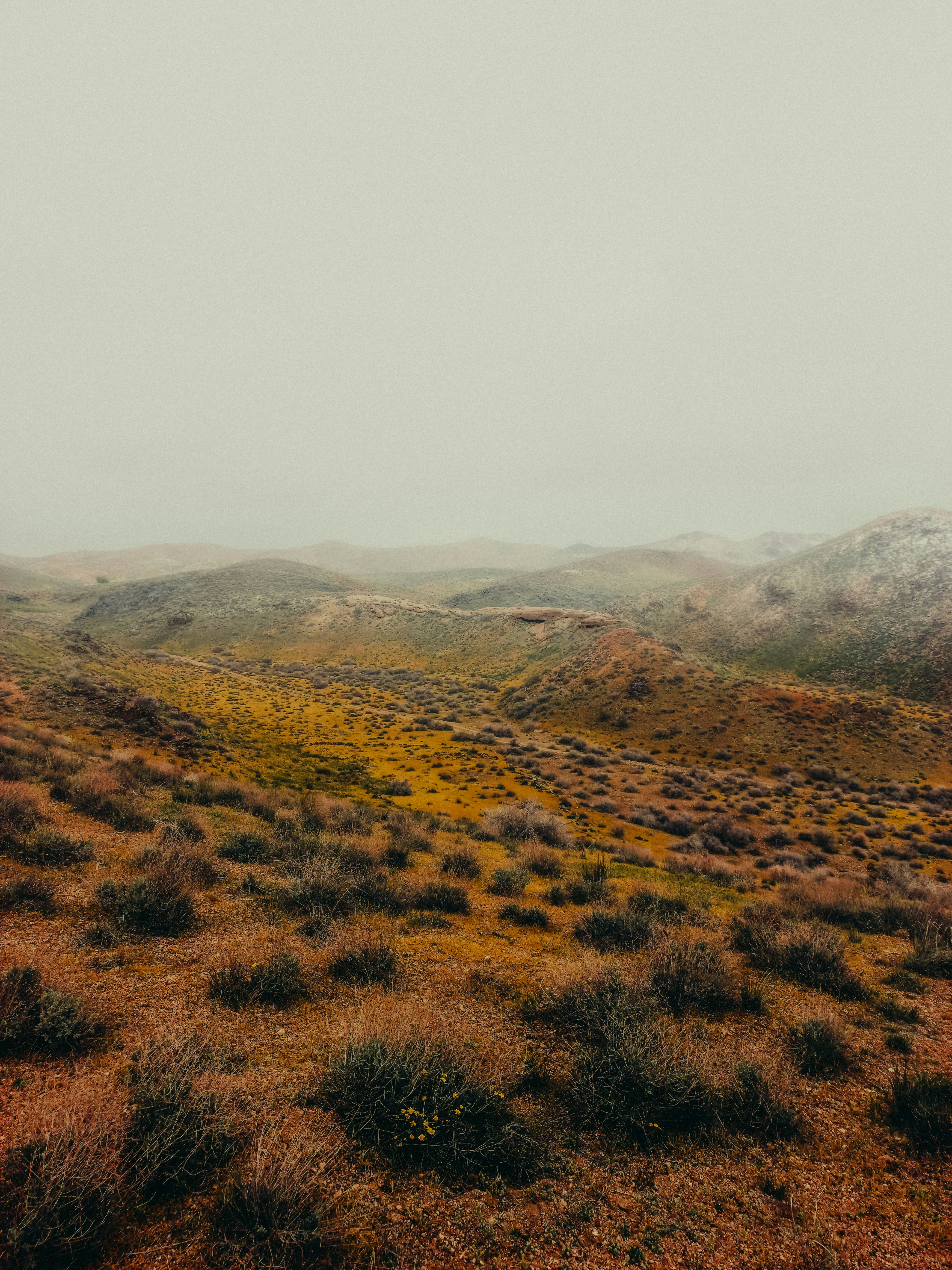 Hilly landscape with dry grass and scattered bushes under an overcast sky.