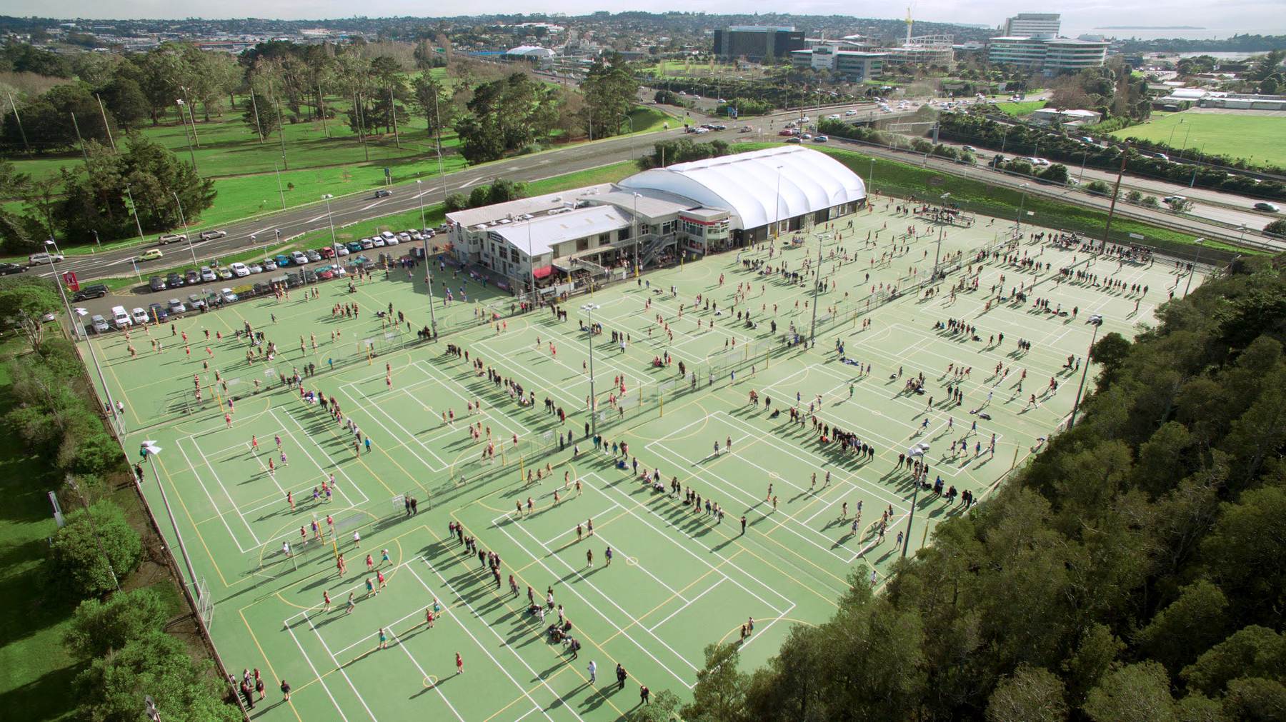 Netball North Harbour from the air