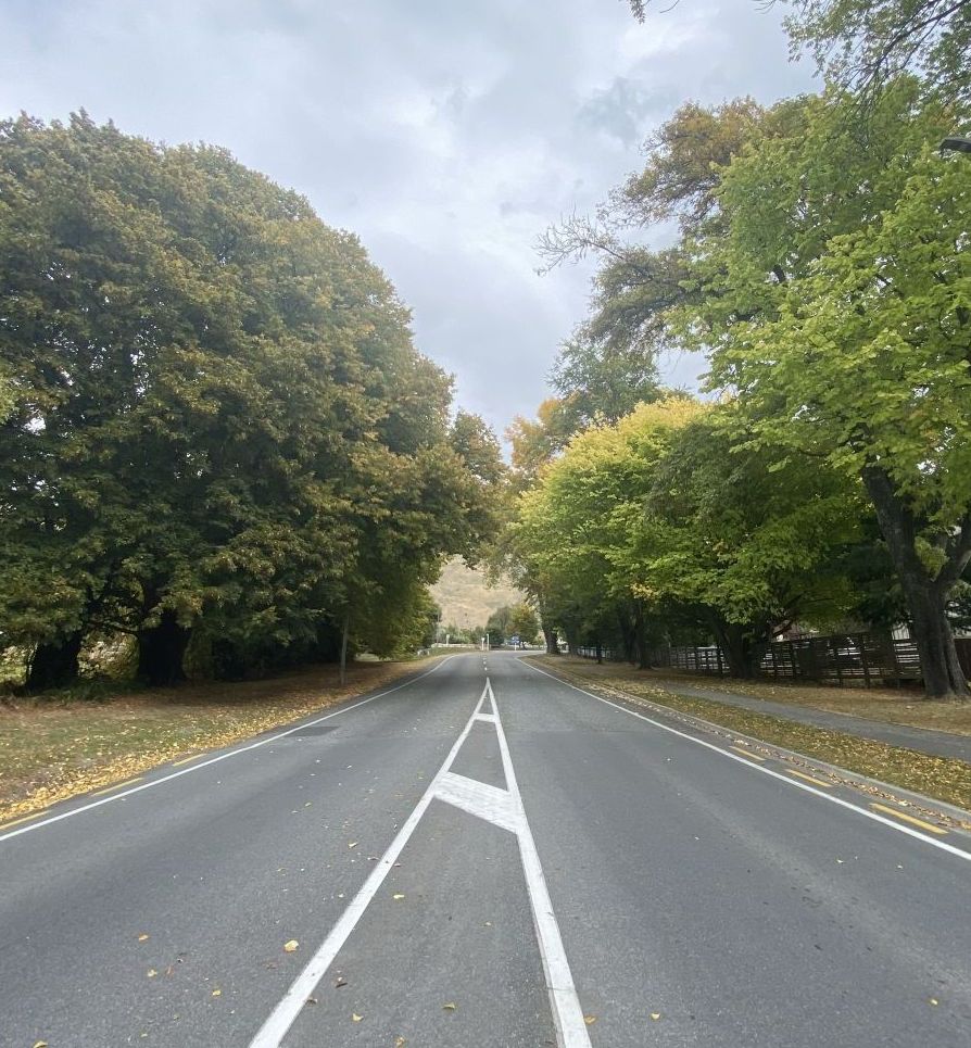 Road in Wanaka.