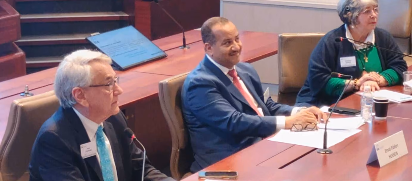 Dr Emad Hussein speaking at a podium beside the Turkish flag
