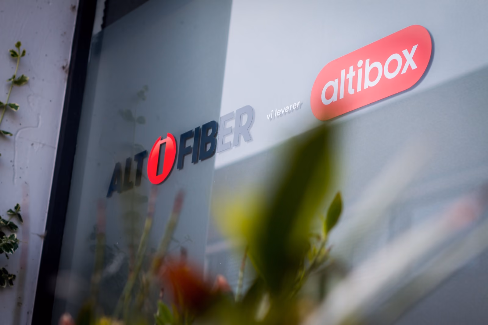 Altifiber- og Altibox-skilt på en husvegg, sett gjennom grønne planter