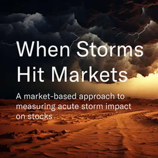 Cover of When storms hit markets white paper