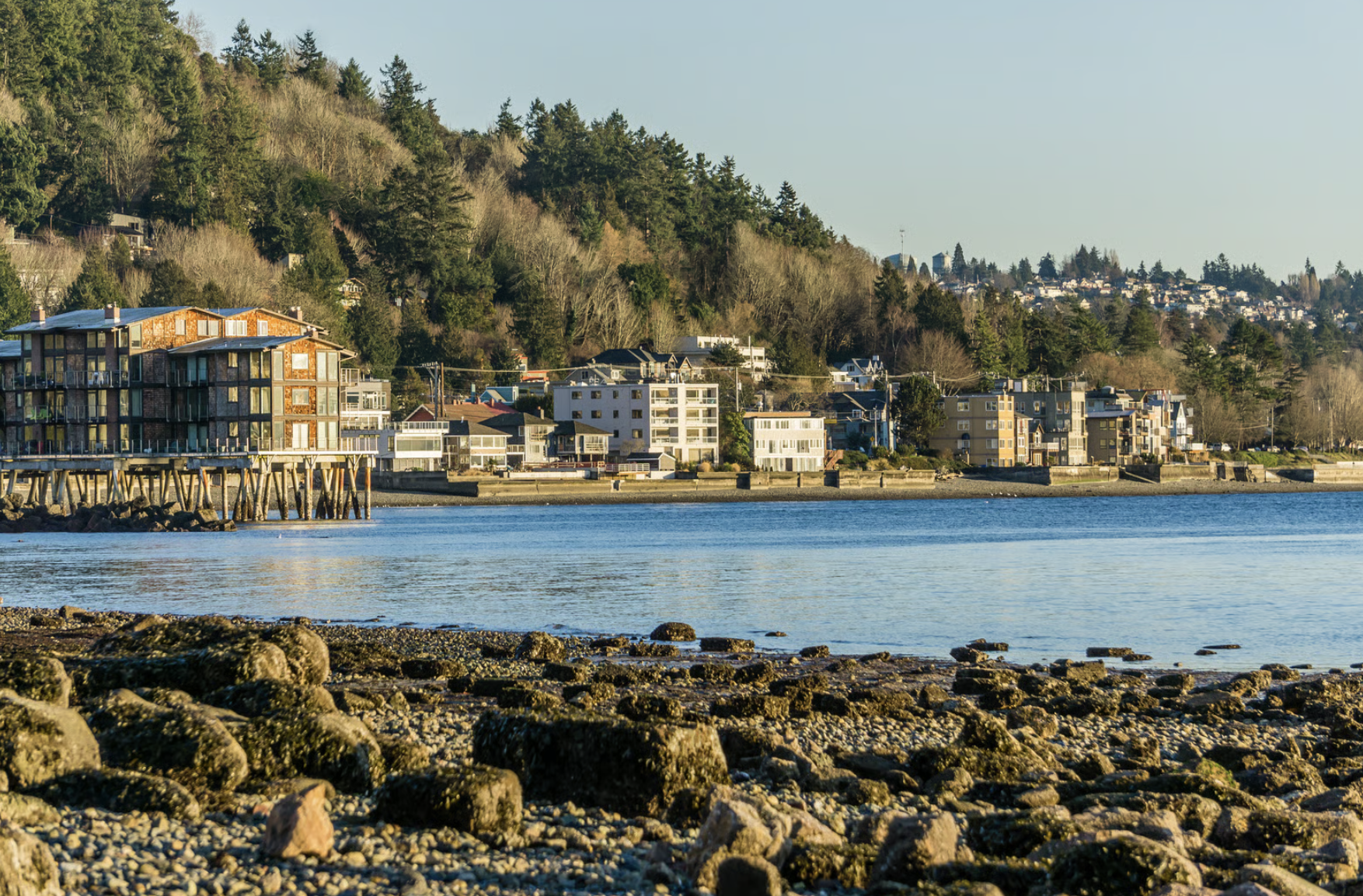 Rocky shoreline with calm blue water in front of residential buildings and forested hillside under clear sky.