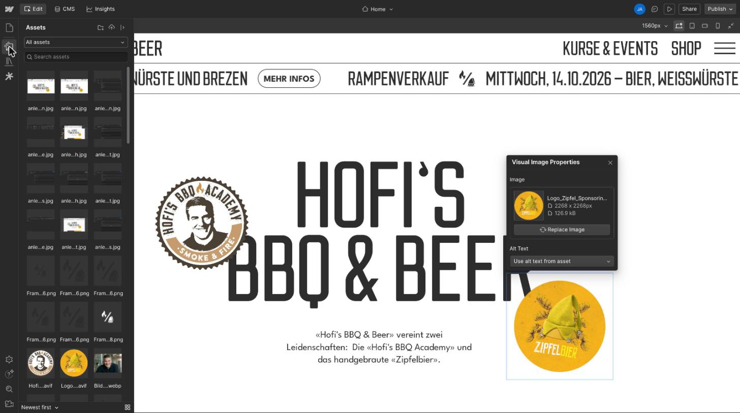 Fenster Visual Image Properties mit Replace Image und Alt Text