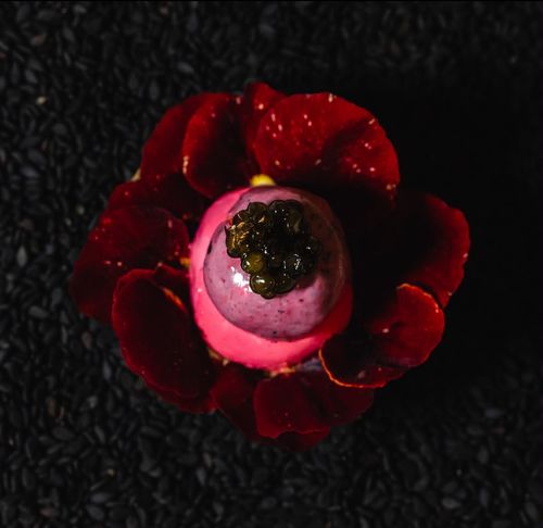 A single composed dish with gold leaf and pansy petals