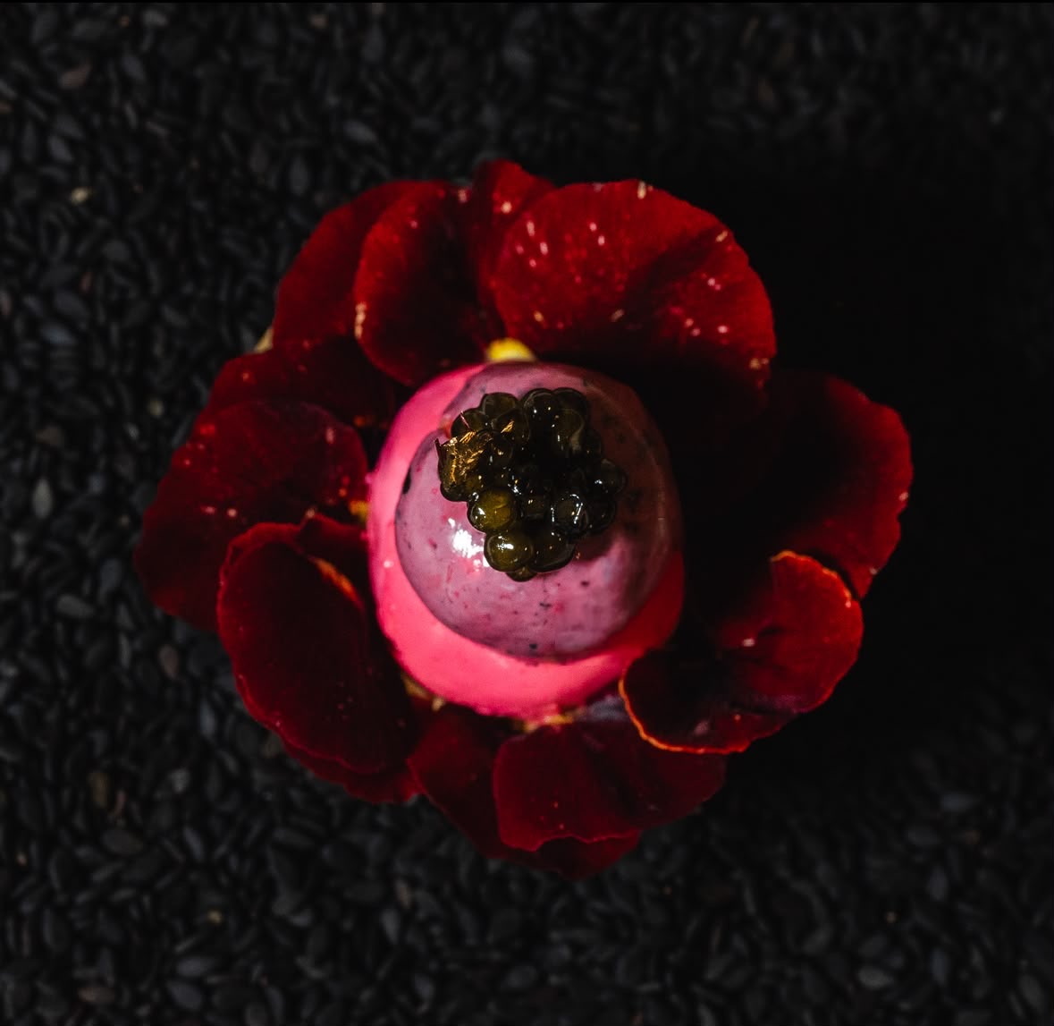 A single composed dish with gold leaf and pansy petals