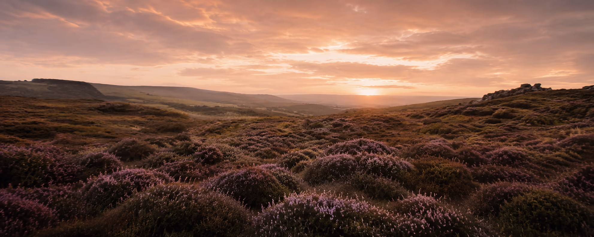 Heather-covered moorland at sunset with rolling hills and a glowing colorful sky