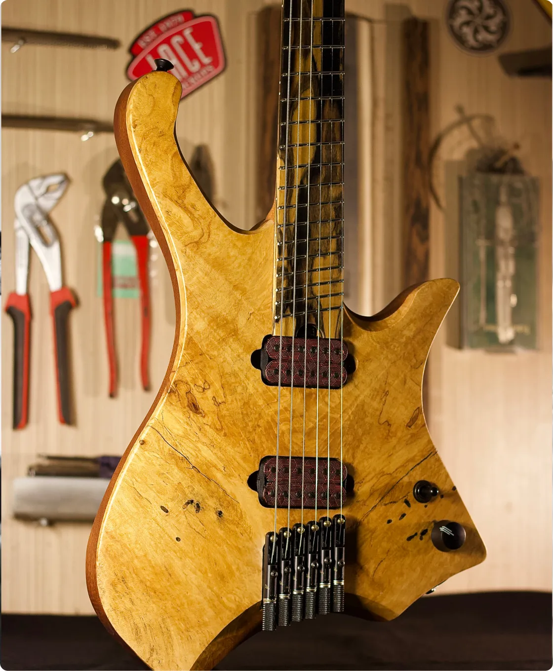 Showcase Image
