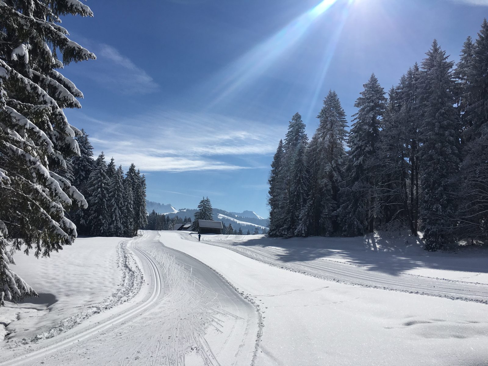 Gespurte Loipe im verschneiten Wald mit Blick auf die Berge