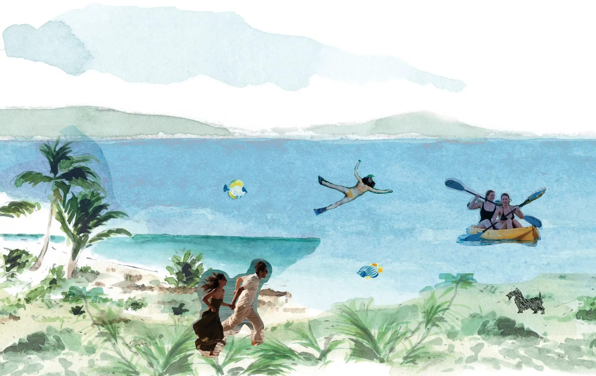People kayaking, snorkeling, surfing, a barbeque and friends around a beach bonfire at sunset.