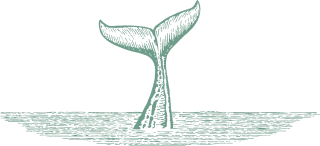 Teal silhouette of a whale tail above horizontal water waves illustration.