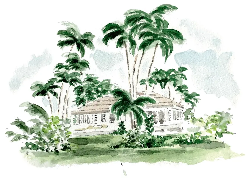 Watercolor painting of a house surrounded by palm trees and green shrubbery under a cloudy sky.