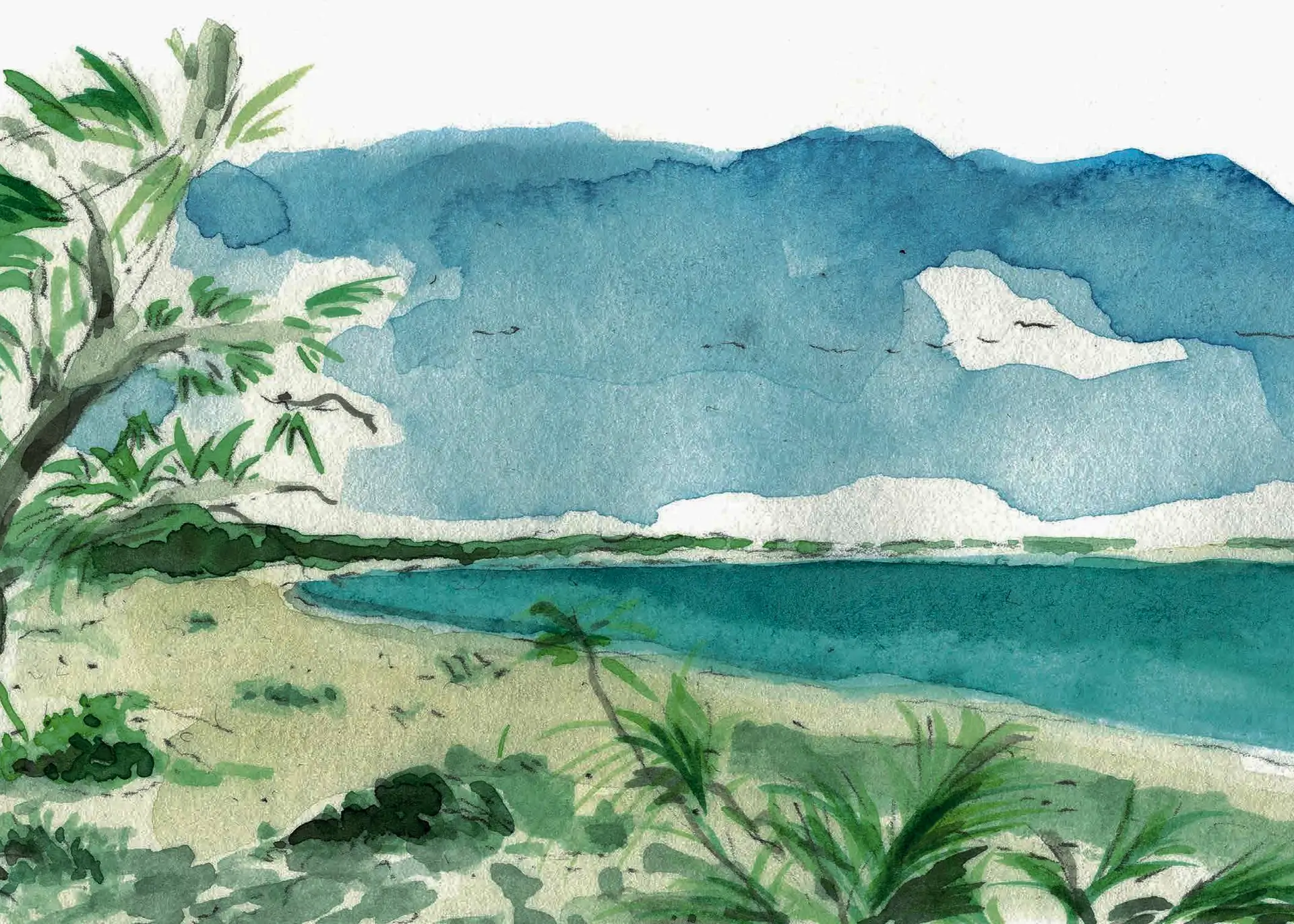 Watercolor painting of a beach scene with green plants, sandy shore, blue ocean, and cloudy sky.