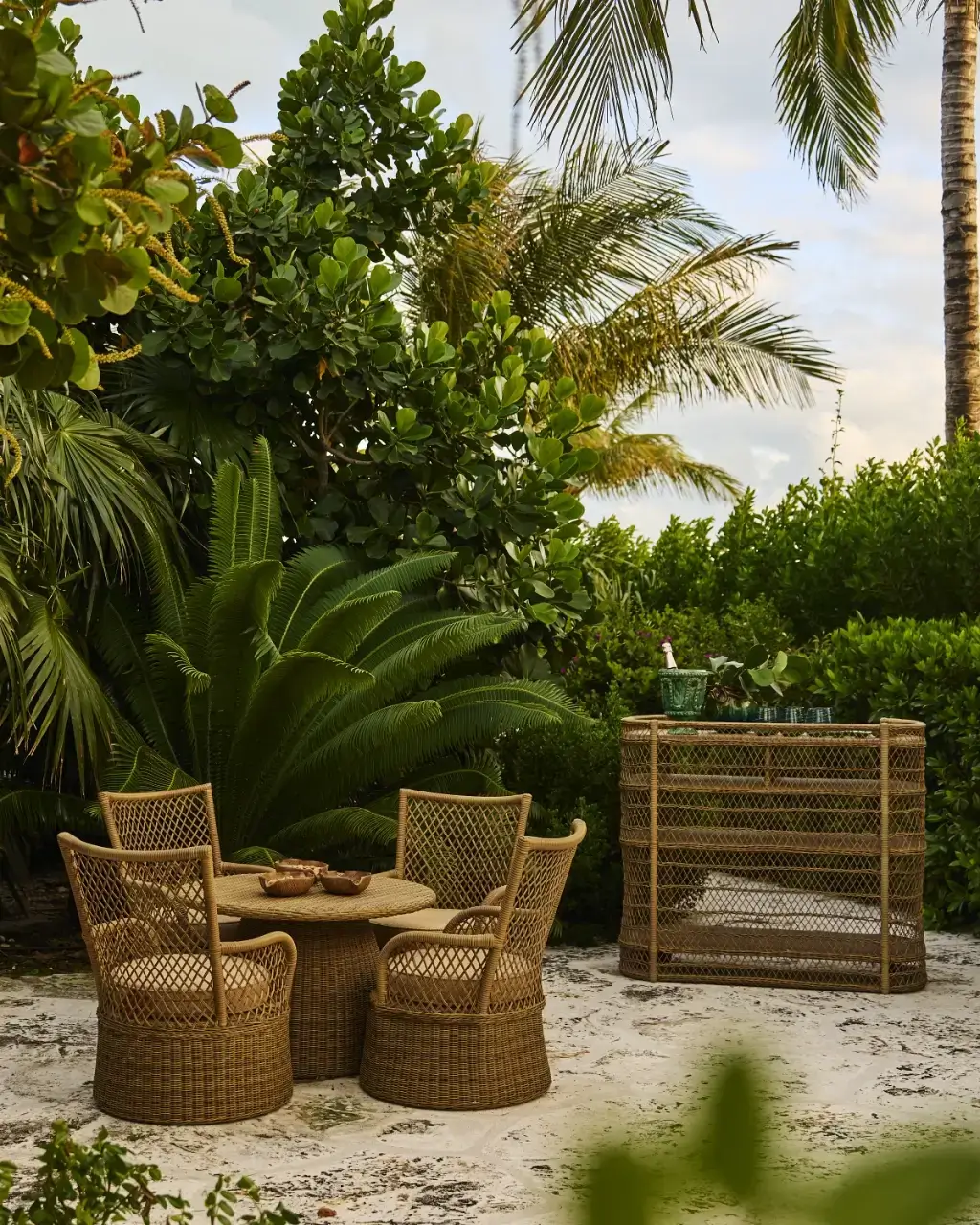 Outdoor patio with wicker table and chairs surrounded by lush tropical plants and palm trees.