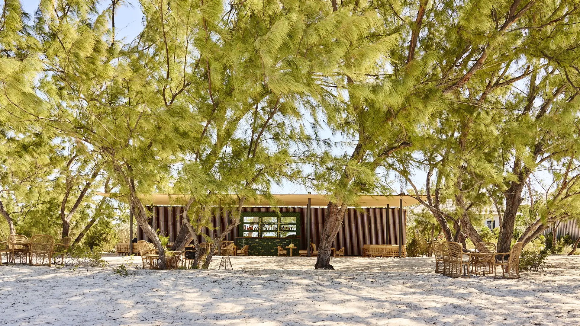 Outdoor beach bar with wicker chairs and tables under tall green leafy trees on white sand.