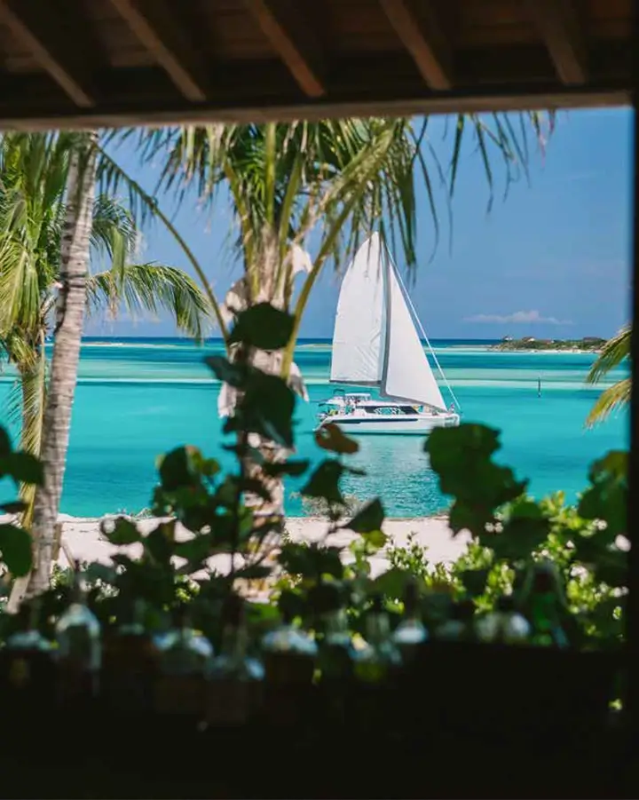 White sailboat on turquoise ocean water with palm trees in the foreground and a sandy beach under a clear blue sky.