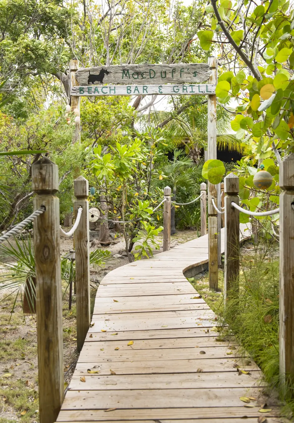 Wooden boardwalk with rope railing leads through dense green foliage to a rustic wooden sign reading 'MacDuff's Beach Bar & Grill' with a silhouette of a dog.