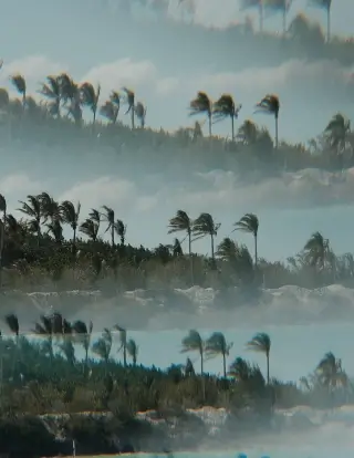 Blurry, layered image of palm trees swaying in the wind along a beach with waves crashing near the shore under a cloudy sky.