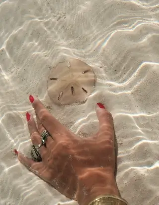 A hand with red-painted nails and rings reaching underwater towards a small sand dollar on the sandy sea floor with rippled water surface above.