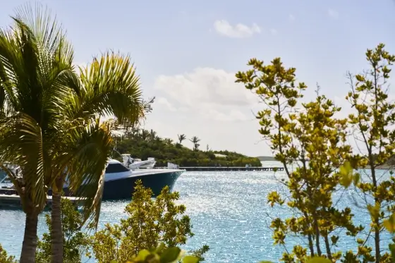 A marina scene with a large yacht docked on calm, sparkling blue water, framed by green palm trees and other foliage under a partly cloudy sky.