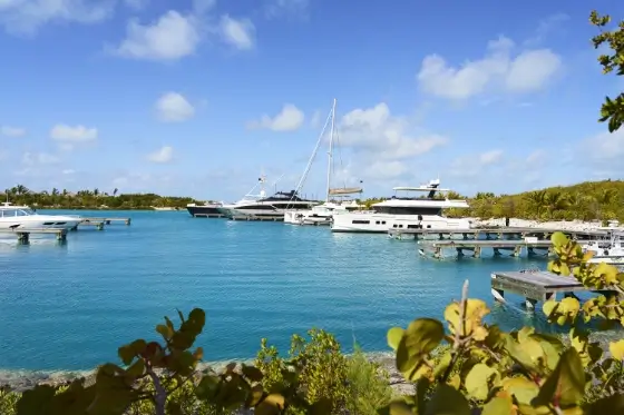 Marina with several large white yachts docked in calm, clear blue water, with green foliage in the foreground and partly cloudy blue sky above.