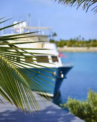 Palm tree leaves in sharp focus with a large white and blue yacht docked in a marina and calm water in the background under a clear sky.