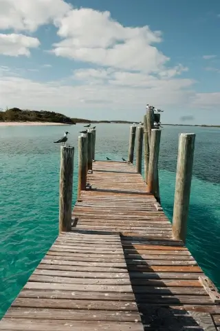 Wooden dock extending over clear turquoise water with several seabirds perched on the dock posts and an island with trees in the background under a partly cloudy sky.