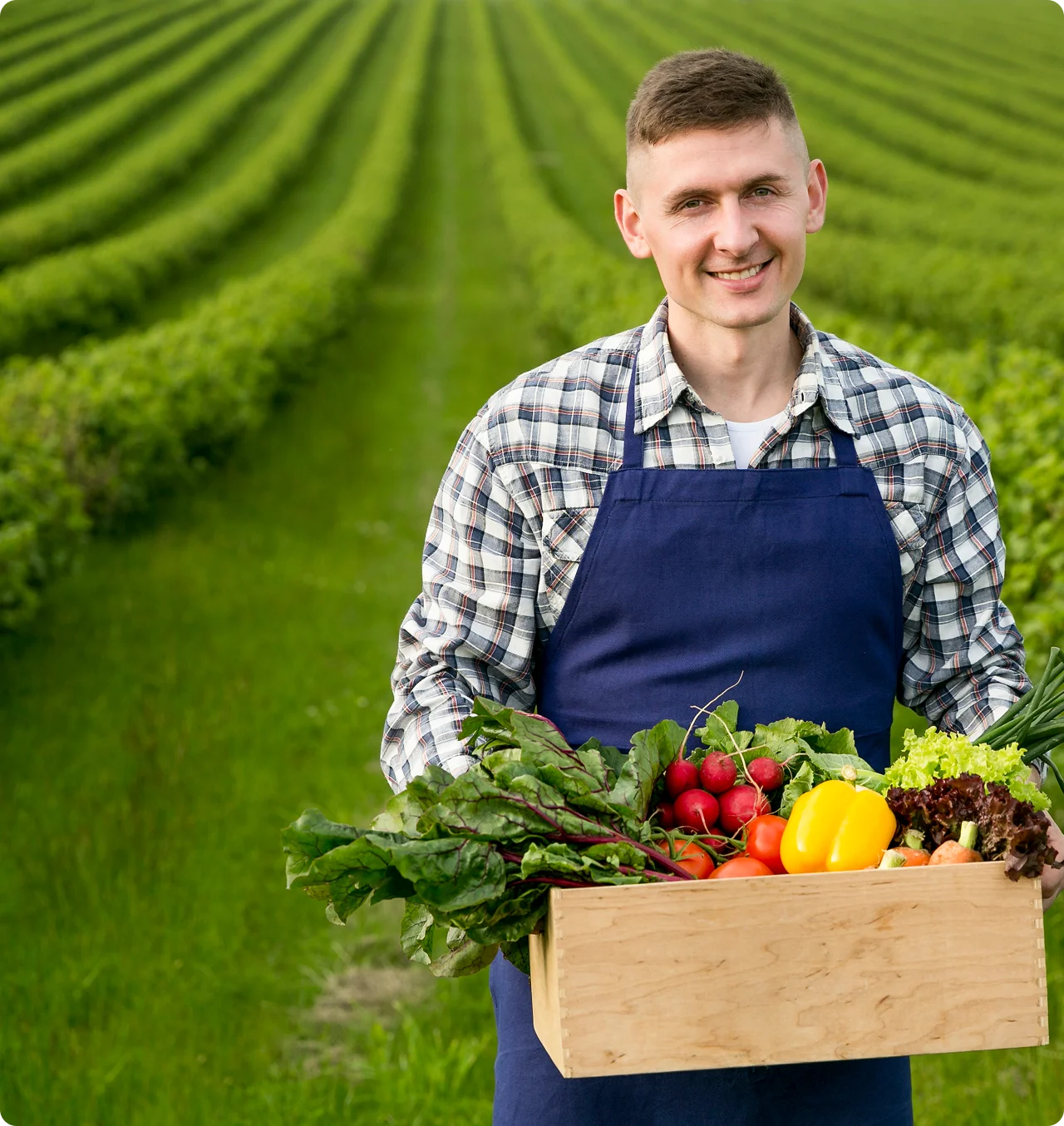 License Image 