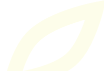 Shape Image