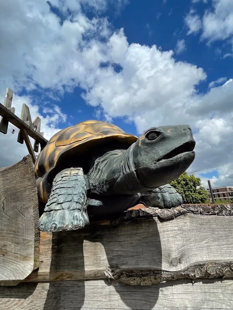 Tortue géante sur le parcours de mini golf de Laser Magic