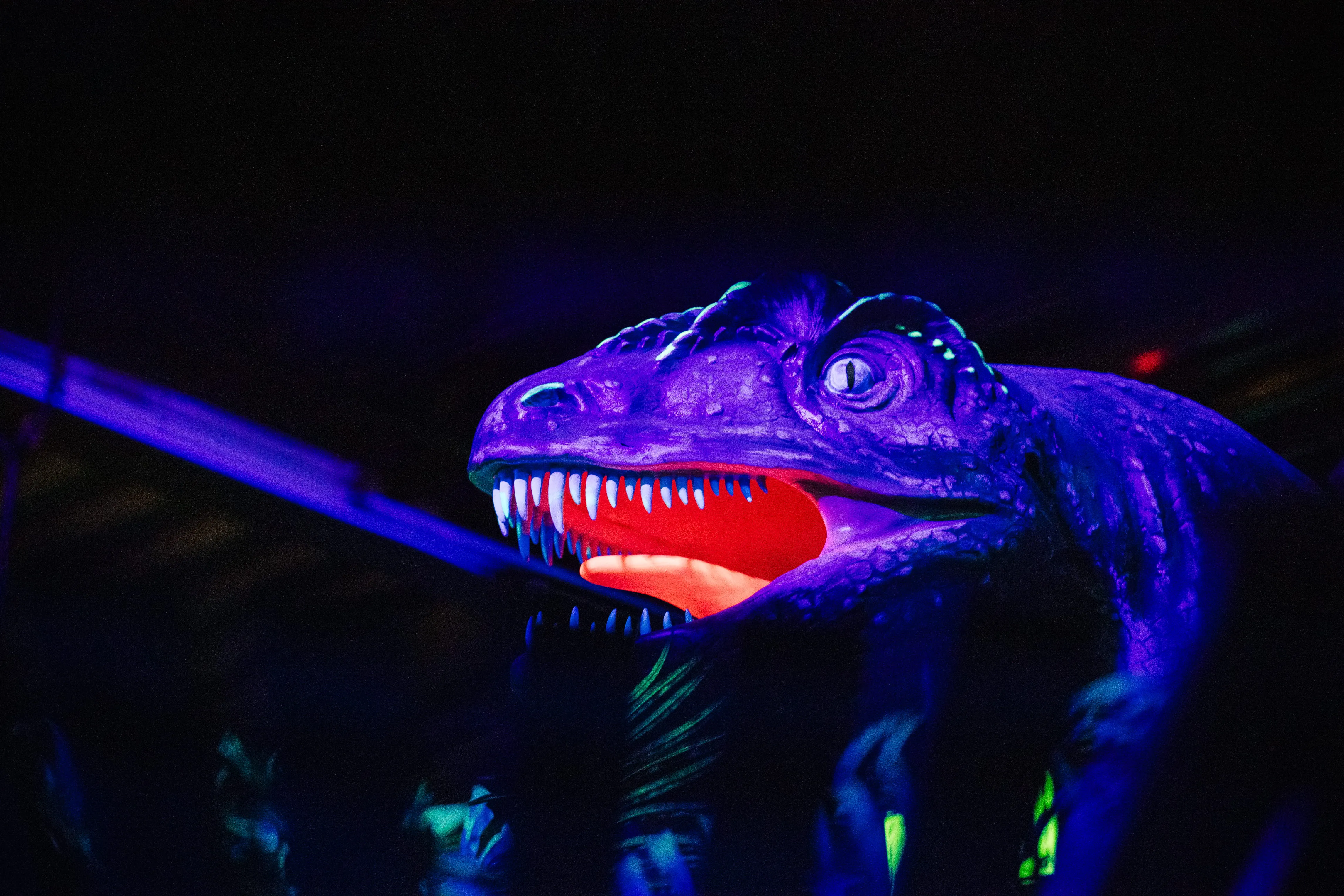 Dinosaure gueule ouverte sous lumière UV