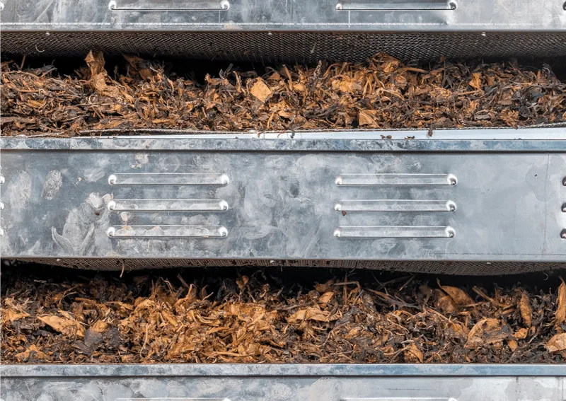 Drogen van LocalTea thee uit nederland