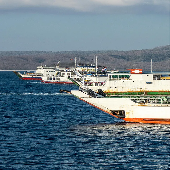 Row of cargo or ferry ships docked on calm water with a forested shoreline under a blue sky.