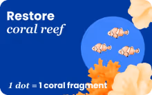 Restore Coral Reef Gift Card