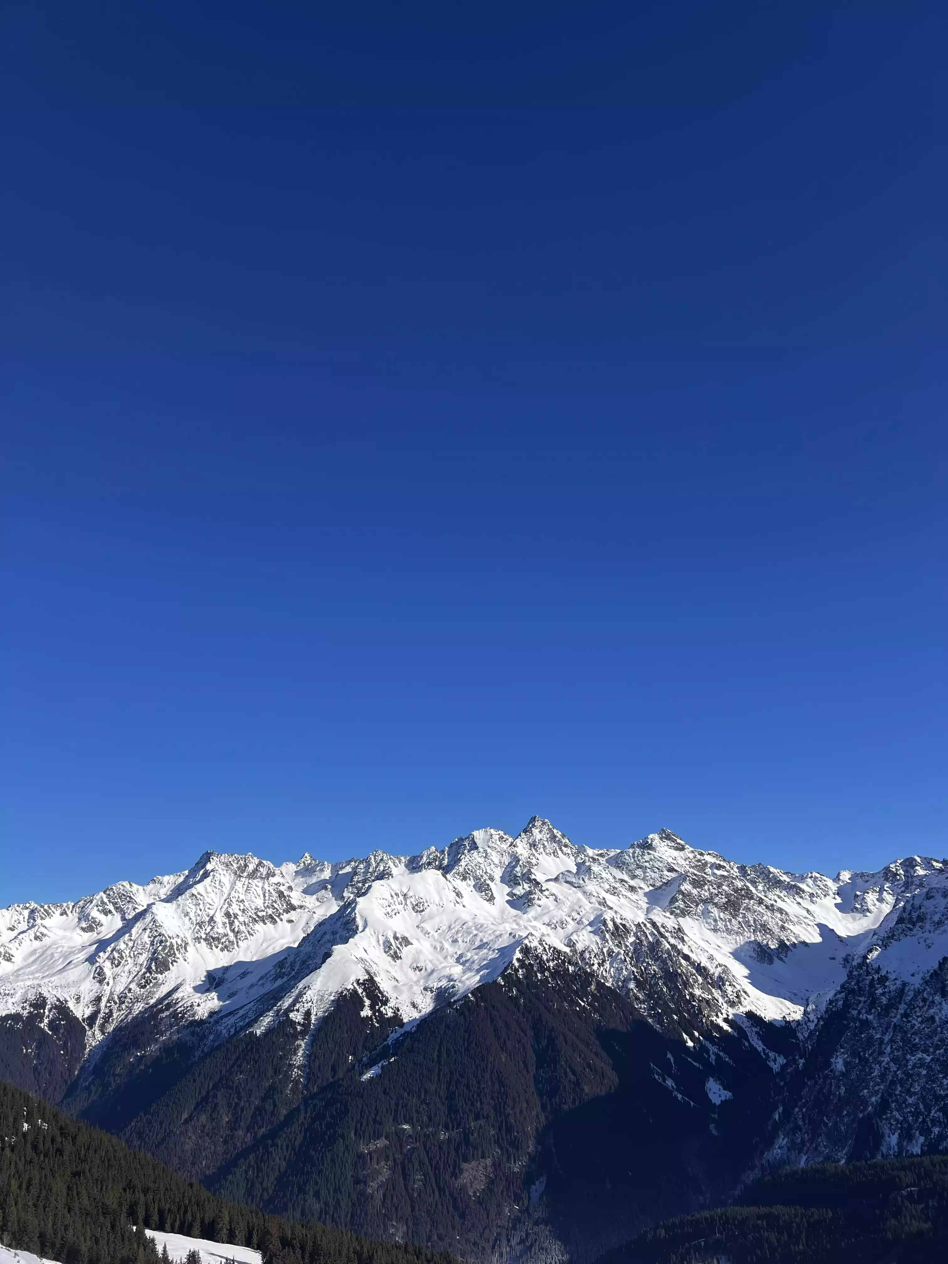 Snow-covered mountain peaks under a clear blue sky with forested lower slopes.