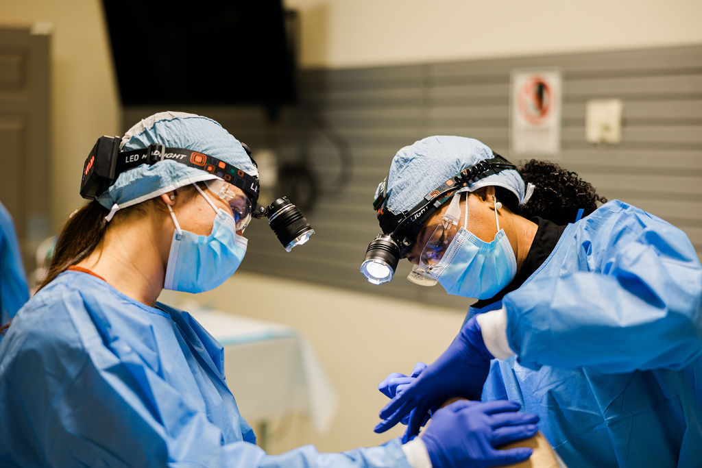 Surgeons participate in a CIA Implants course