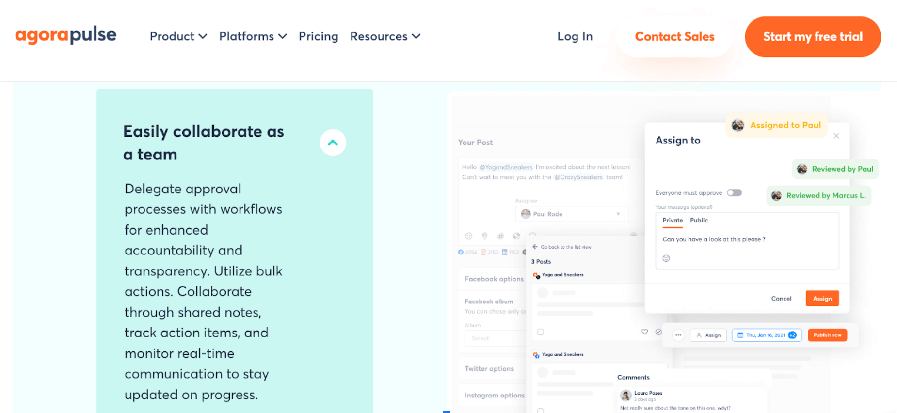 agora pulse social media dashboard