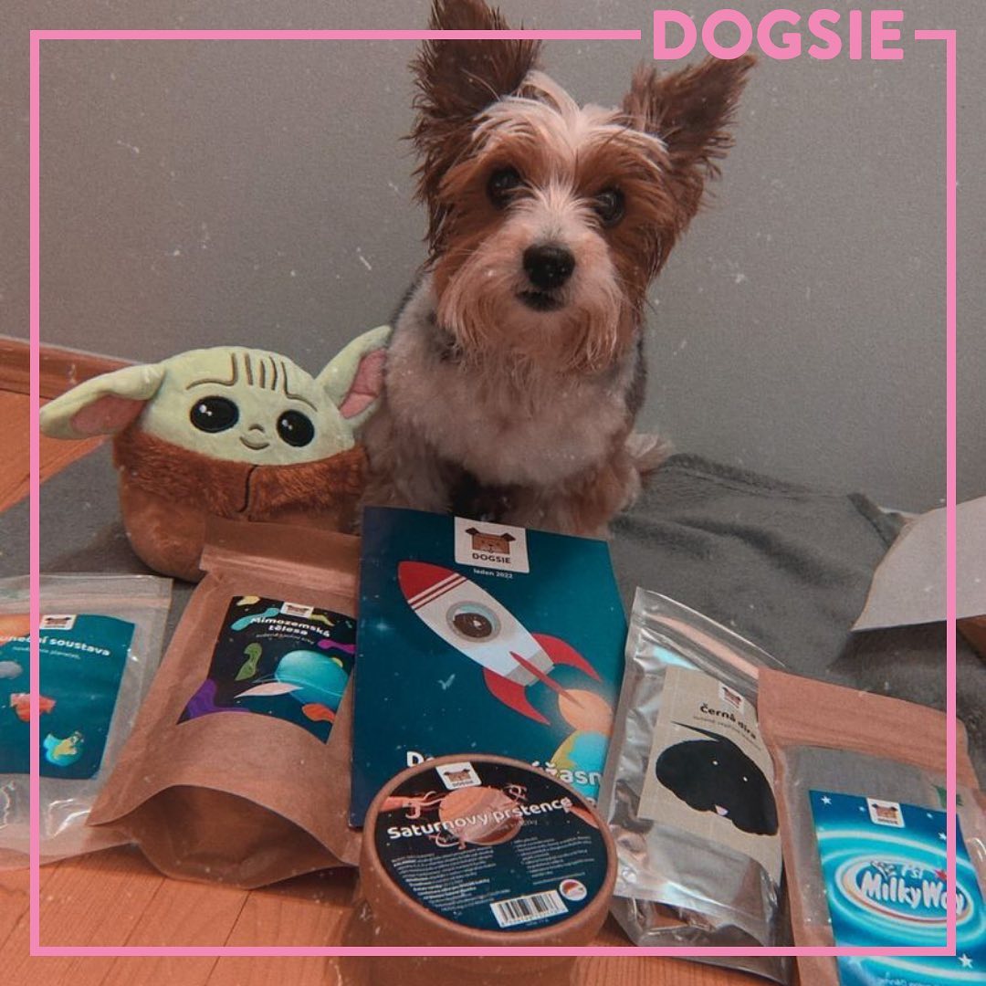dogsie-subscription-box-goodies