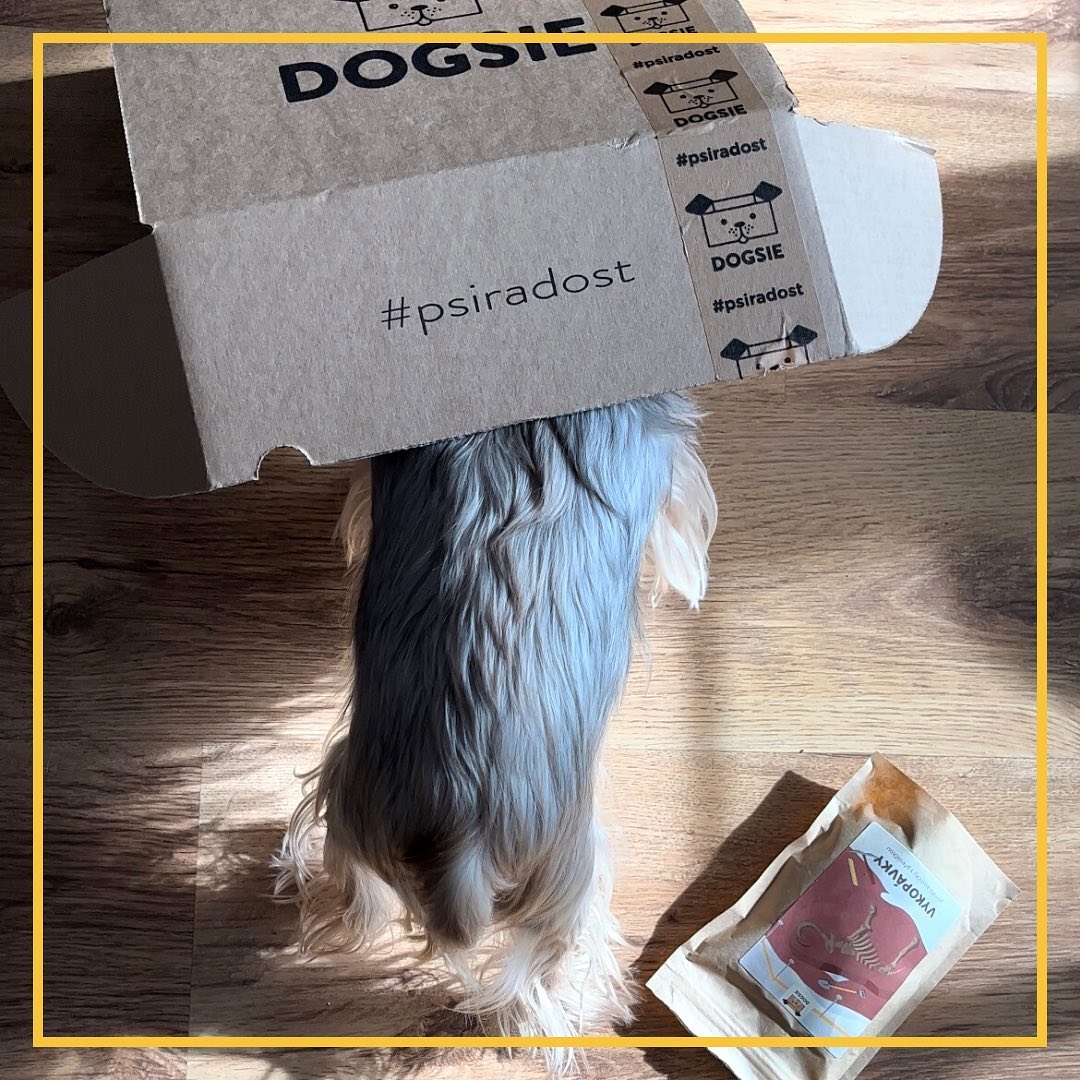 dogsie-subscription-box-happy-dog