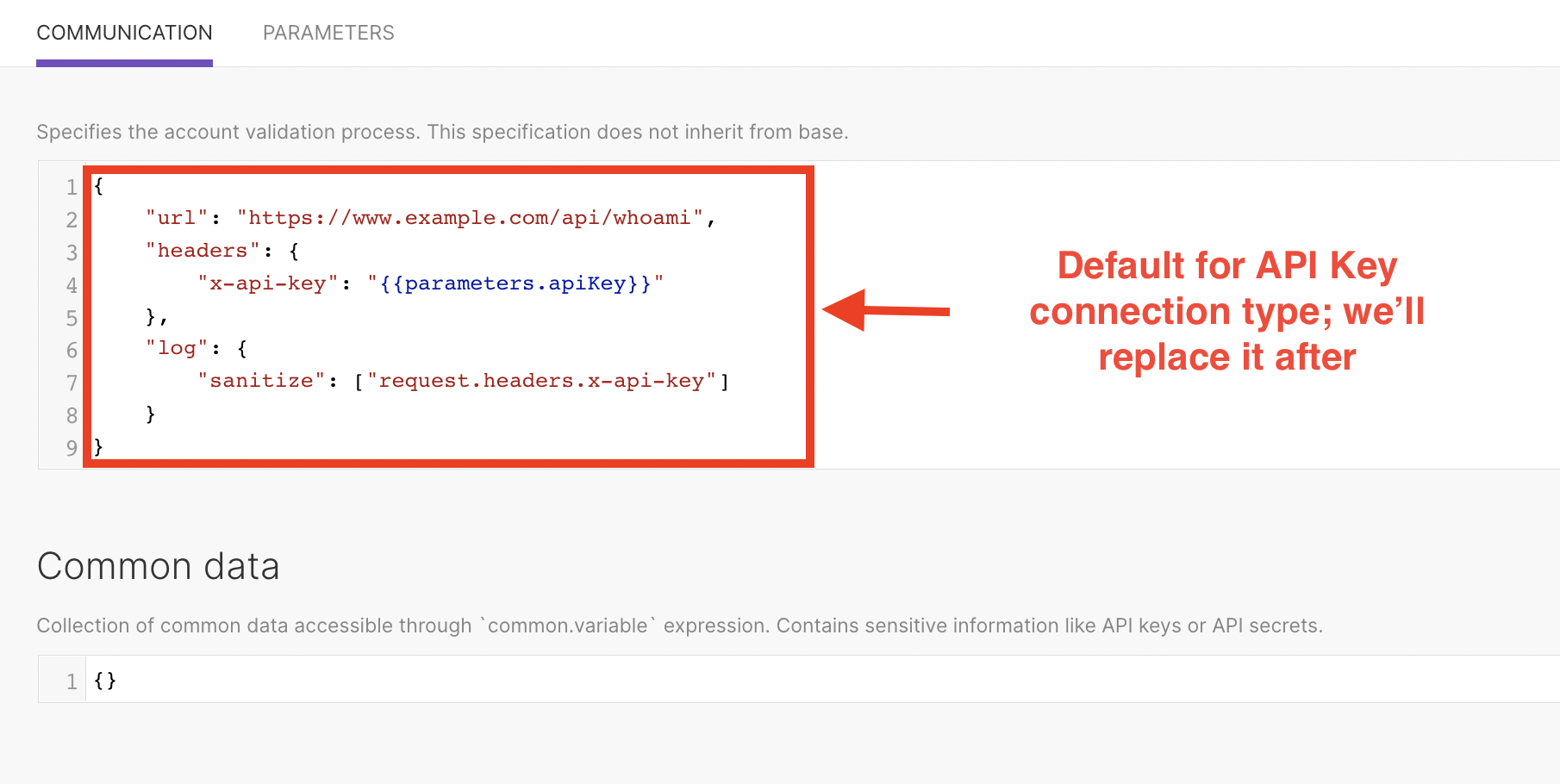 Default API key parameter