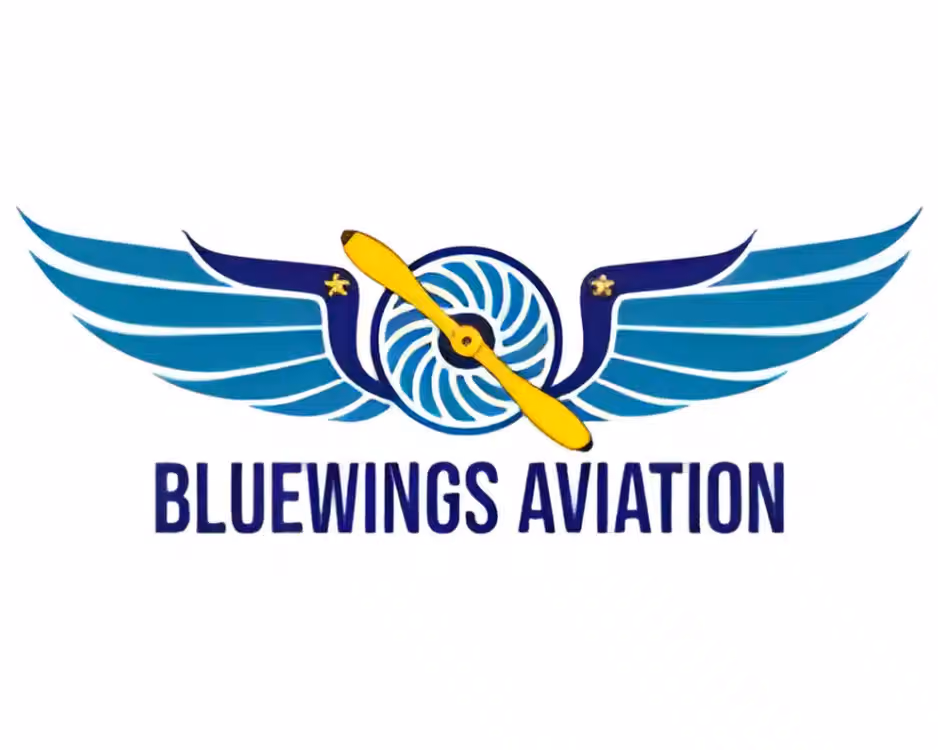 BlueWings Aviation