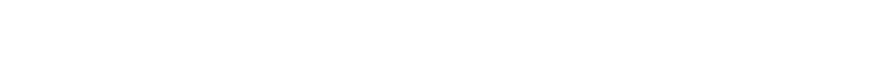 Logo Robe Noire