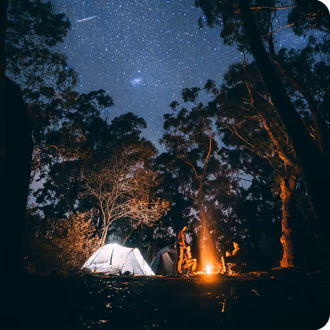 Campfire harmony