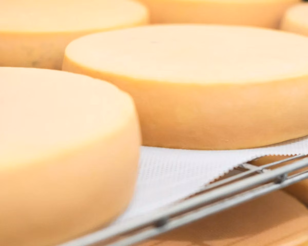 Fromage artisanal de la Route des Saveurs de Charlevoix