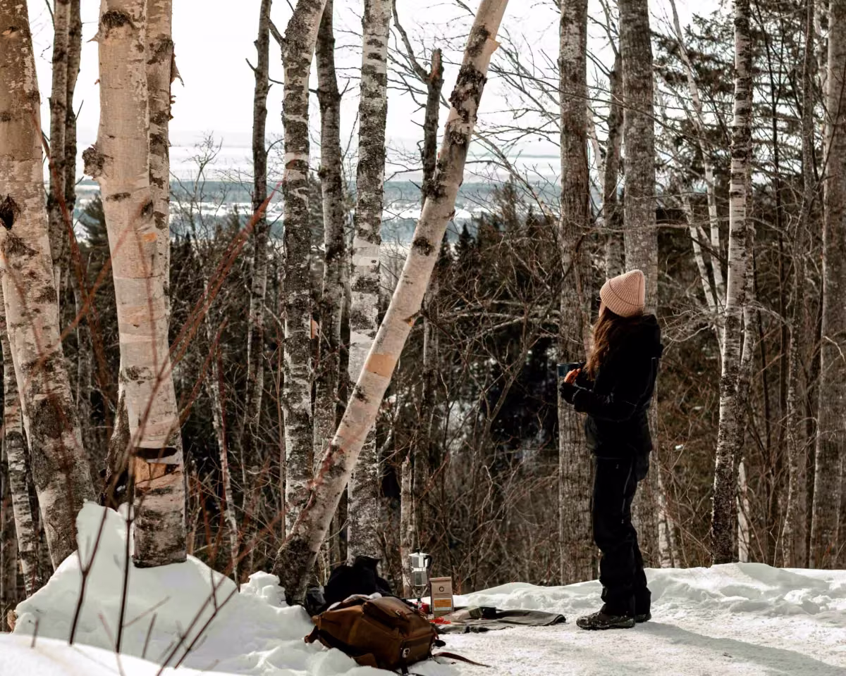 Récolte hivernale dans une érablière de Charlevoix