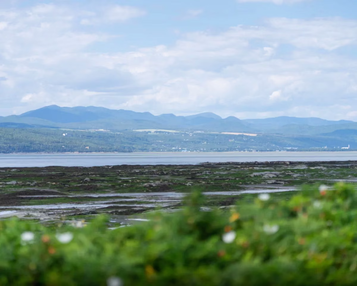 Vue sur le fleuve Saint-Laurent depuis l'Isle-aux-Coudres