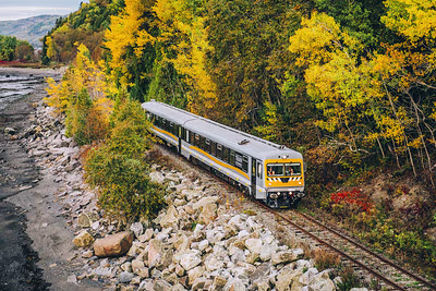 Charlevoix Train, Activités, Baie-Saint-Paul