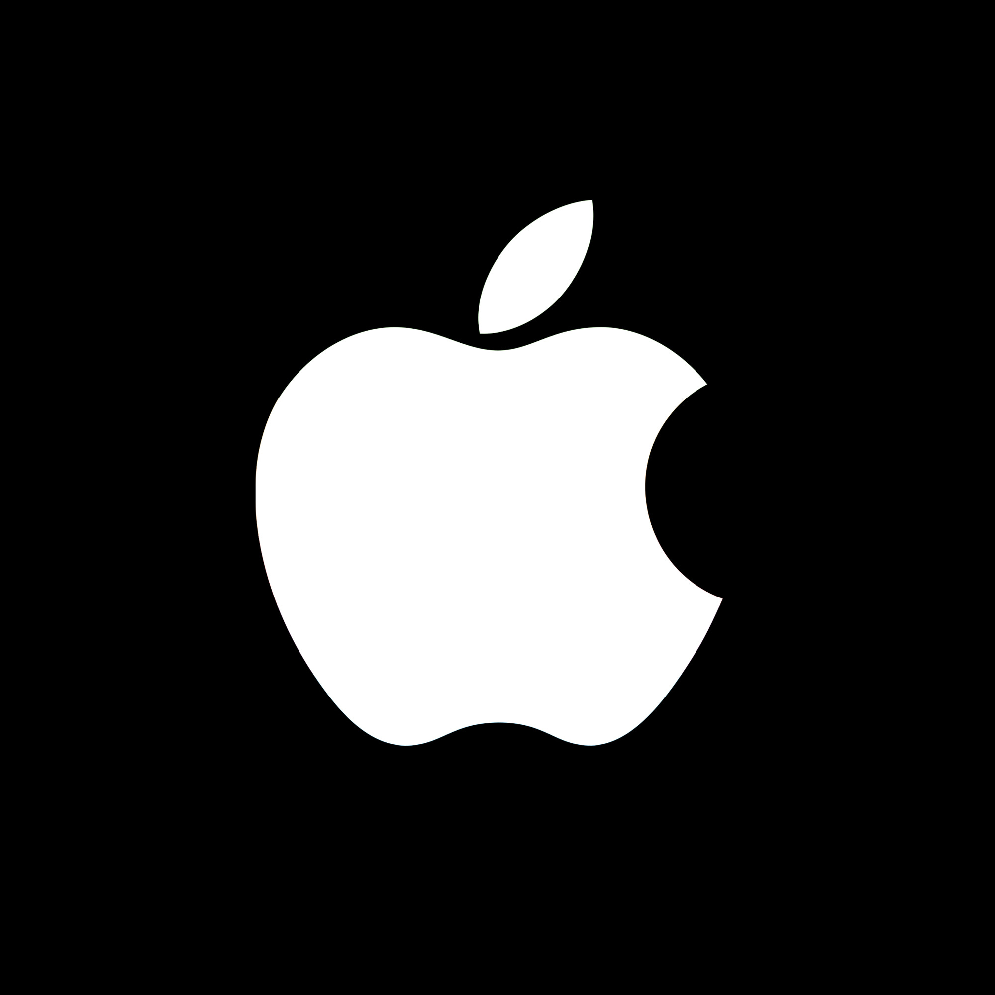 Logo Placeholder