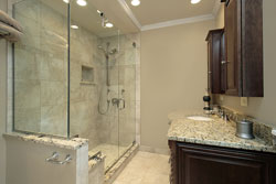 Frameless Shower